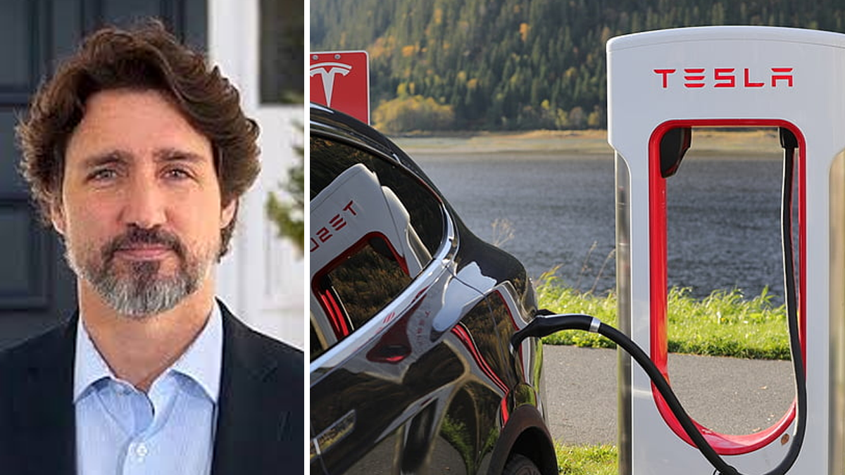 website-teslajt