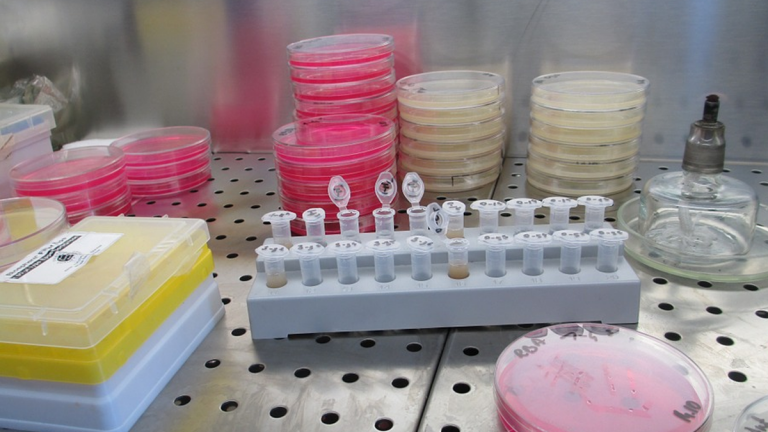 Canada monitoring six patients for deadly coronavirus