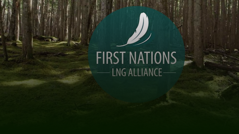 First Nations stand up to UN and human rights commissioner over pipeline interference