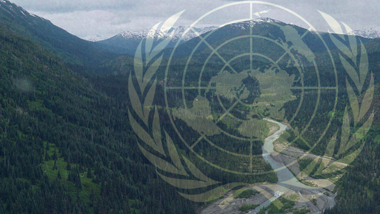 UN “did not know” First Nations support pipeline when ordering Canada to stop construction