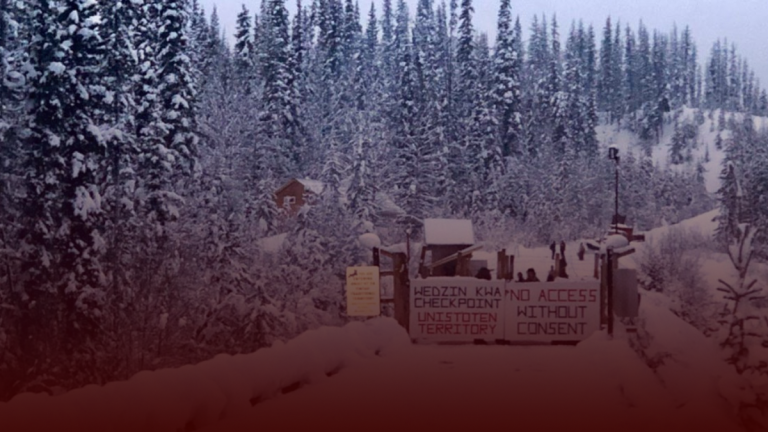 Police faced “race-based” slurs, assault when arresting pipeline protesters