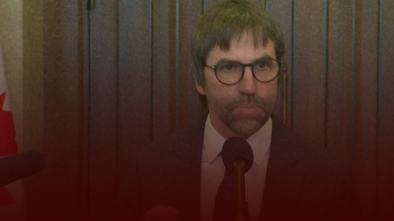 Liberal heritage minister pushes for more regulations on social media companies