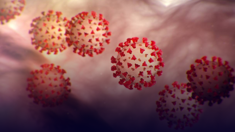 How to access new COVID-19 benefits and EI