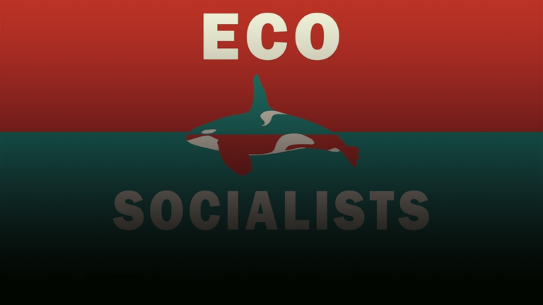 BC’s new Ecosocialist party wants to seize wealth, end “pro-capitalist” education