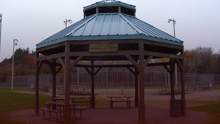 Ontario mom ticketed $880 for standing in a park with her child and dog