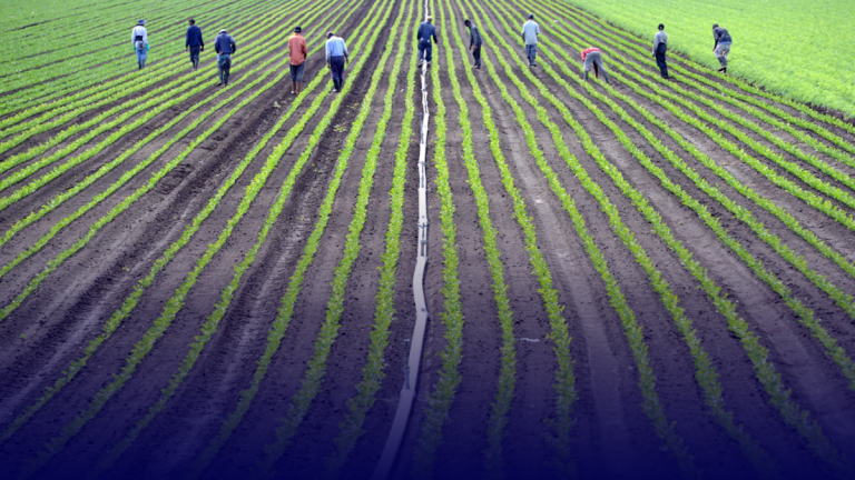 MALCOLM: Hard work shouldn’t be a laughing matter