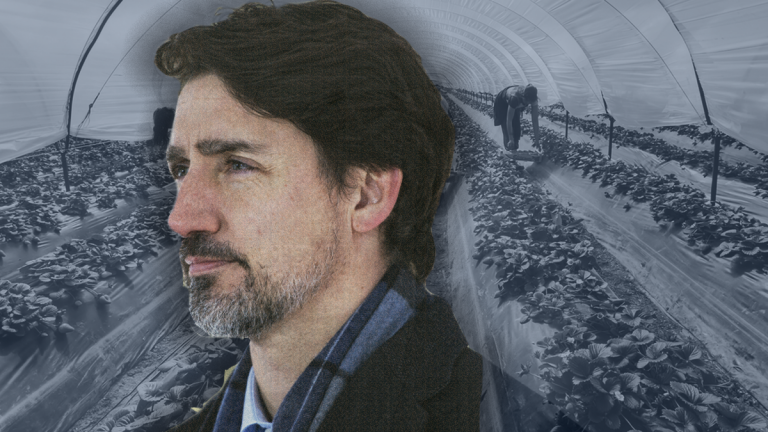 MALCOLM: Canada should create a national work program