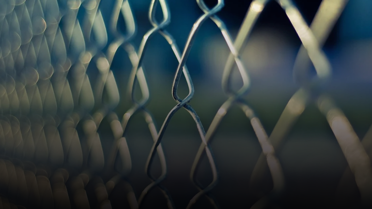 Over half of Canada’s immigration detainees have been freed