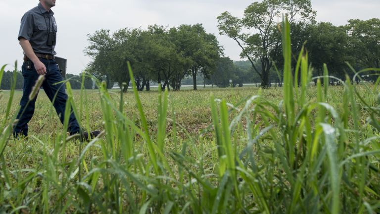 Migrant worker charged with first-degree murder of fellow employee on Ontario farm