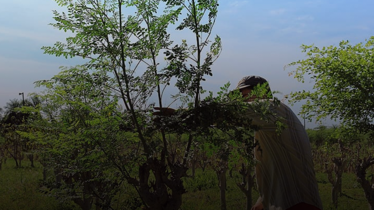 8 foreign workers show symptoms of the coronavirus after arriving in BC