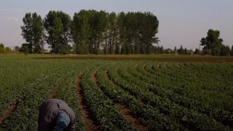 Federal government still accepting temporary foreign workers despite record unemployment