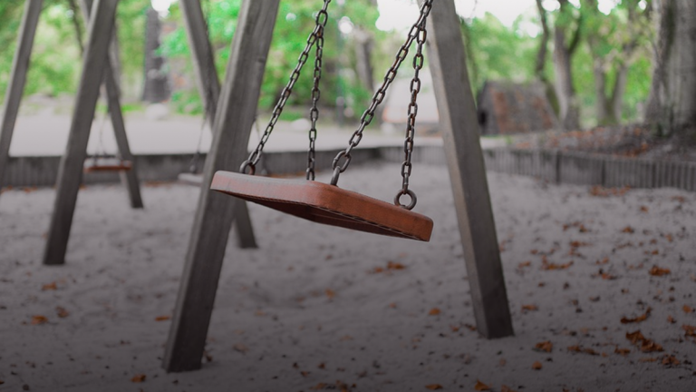 Mother handcuffed, fined $880 for bringing daughter to park