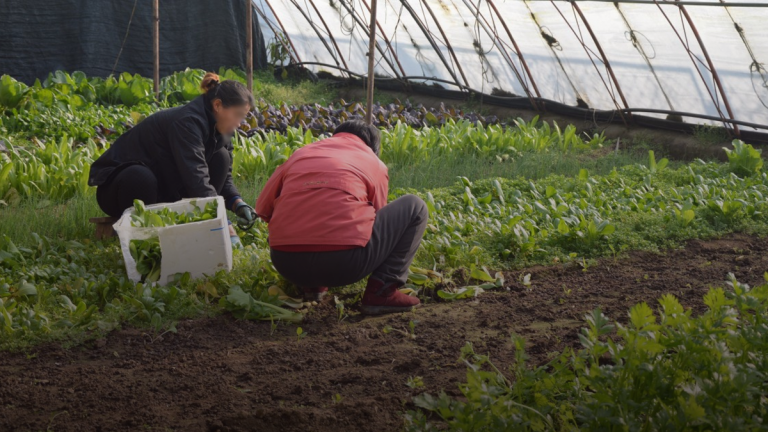 Over 1,600 foreign workers accepted per week despite record unemployment
