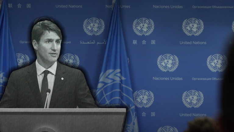 Canada has lost its bid for a United Nations Security Council seat