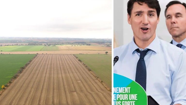 Farmers accuse Liberals of ignoring real price of the carbon tax