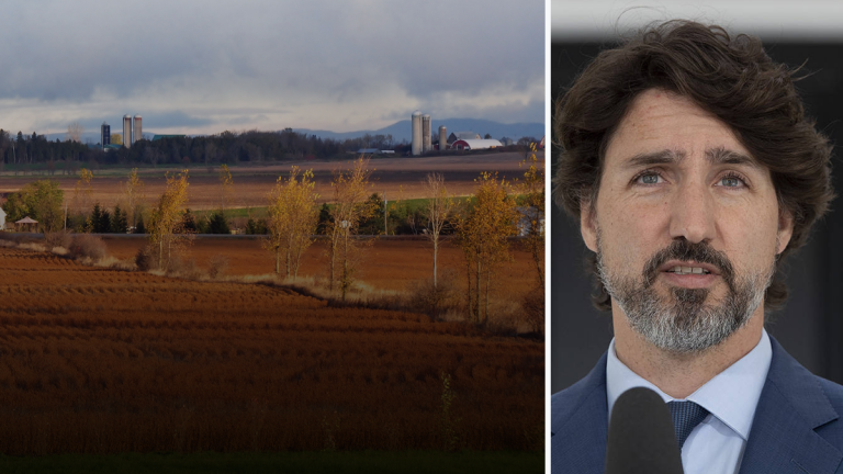 Government ignoring plight of Canadian farmers: industry group