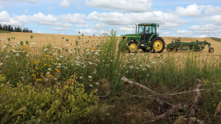 UN tells farmers to cut emissions by 6% globally: “Do more with less”