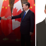 website-furey-june19