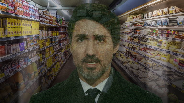 Canada risks losing food security as government refuses to help farmers