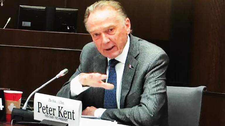 Conservative MP called for “total pause” on immigration