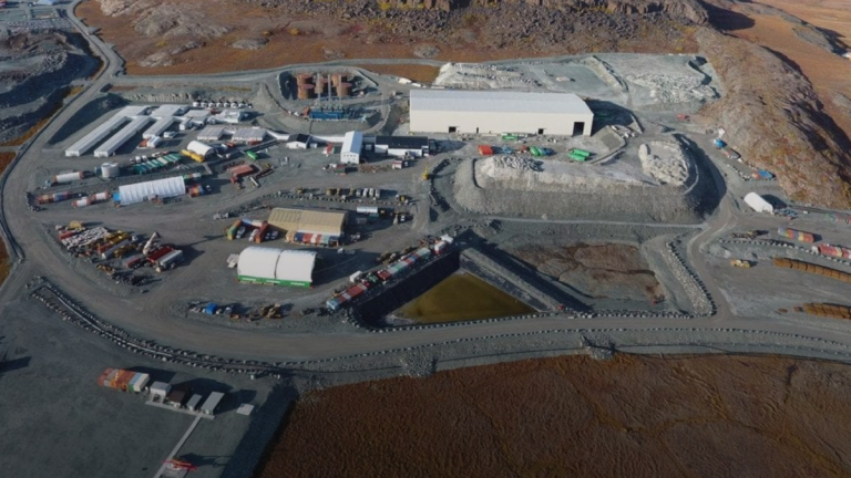 Conservative motion to stop China from buying struggling firms passed