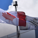 website-flag
