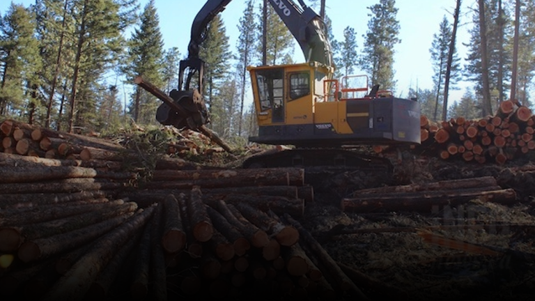 BC forestry industry sees uptick as price of lumber hits record highs