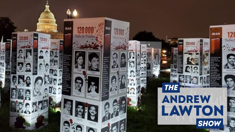 Resisting the Regime