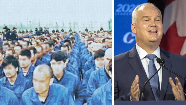 Erin O’Toole calls for more action on China’s Uyghur camps