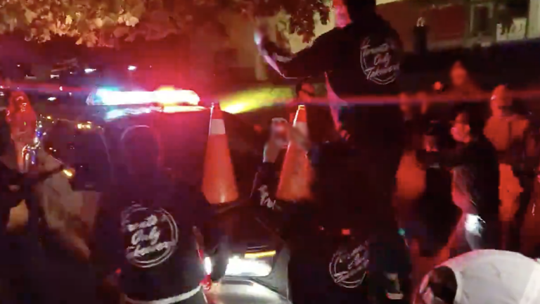 Toronto mob swarm and attack police cruisers