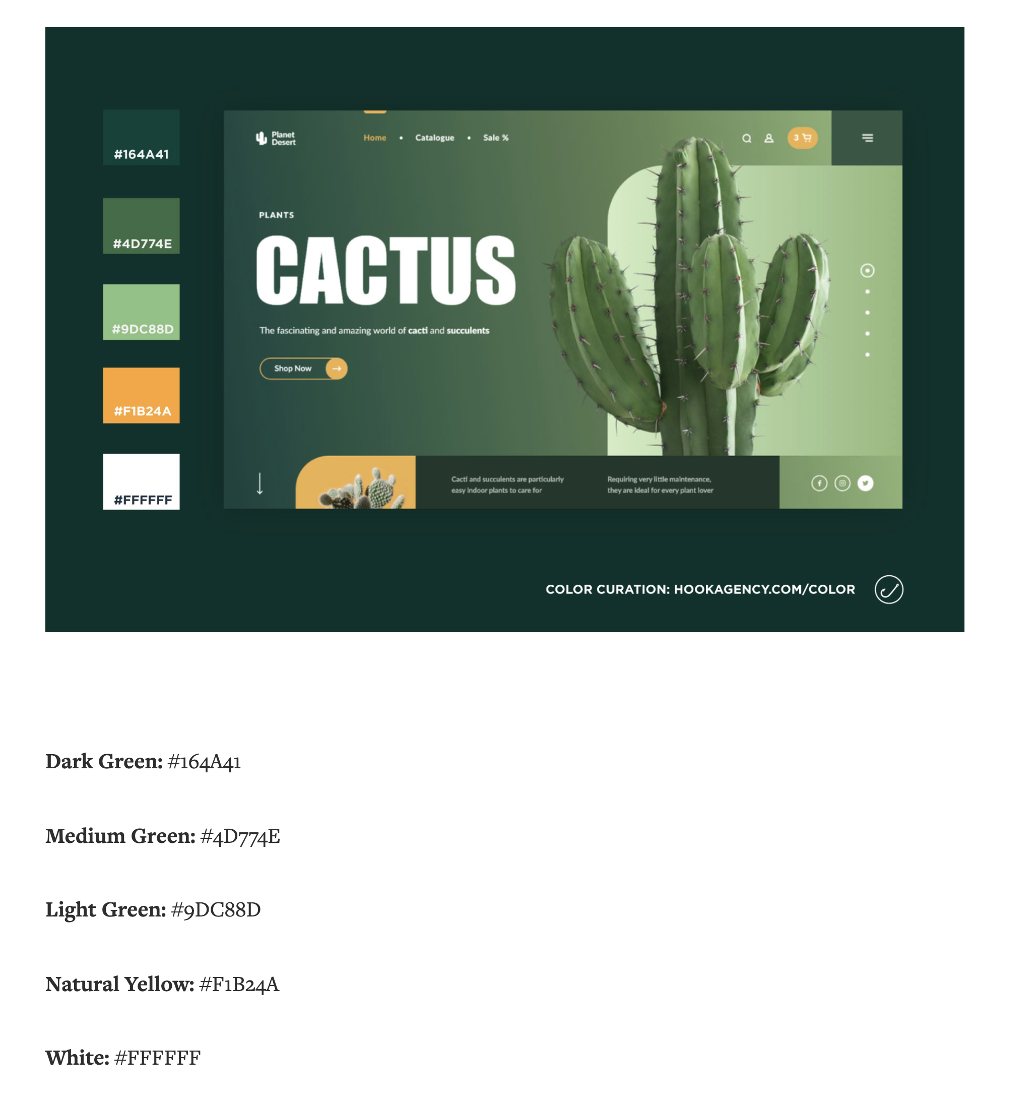 Screen Shot 2020-11-11 at 9.52.51 AM