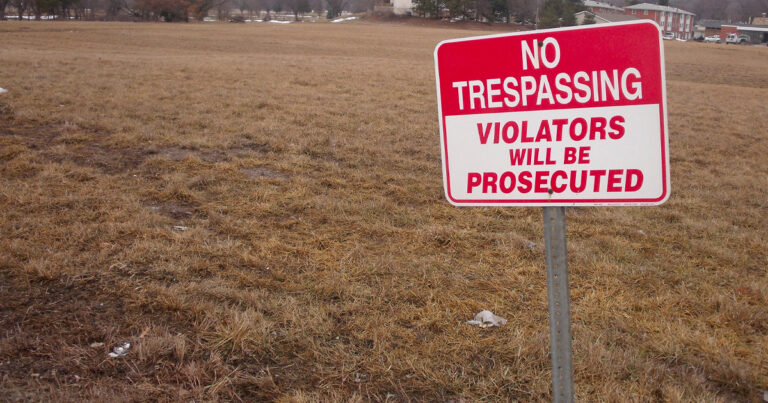 UCP leadership candidates take aim at Ottawa after reports of trespassing on Sask farmland