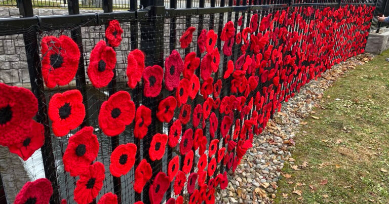 Nursing home residents spent a year knitting 2,000 poppies for Remembrance Day
