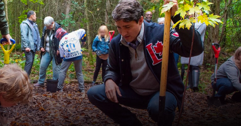 Government says no plan or budget for Trudeau’s two billion trees promise