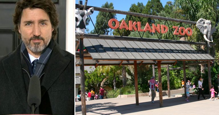 US zoo to vaccinate animals before most Canadian adults receive first dose