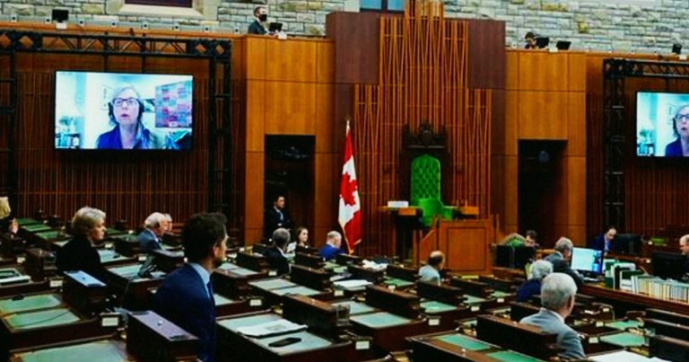 No more Chinese-made masks in Parliament, federal buildings