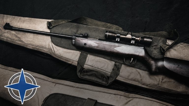 The Liberal Long-Gun Registry Lives On