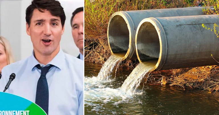 Liberals kill bill that would ban dumping raw sewage into Canadian waters