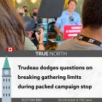 240725719_352698739847989_9075624365180812168_n