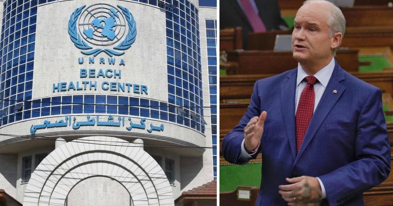 O’Toole slams UN organization for inciting anti-Semitism following report
