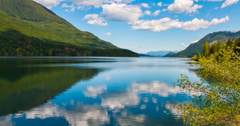 FUREY: There’s life outside of COVID-19