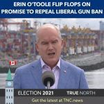 241212195_384466813118721_97919362156249583_n