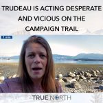 241236504_335775258330655_1921030834185698396_n