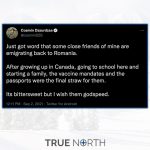 241314206_493588272045327_6355156565417927430_n