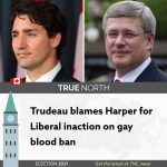 241314642_377495930598808_7485316172802422730_n