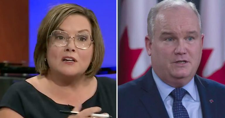 Former top adviser to Harper blasts O’Toole for losing “winnable election”