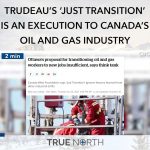 247464643_370041111518515_6676227008517492266_n