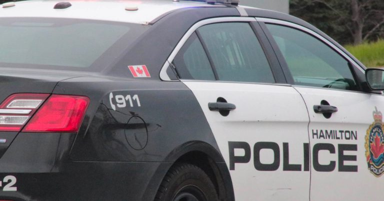 Hamilton city councillor puts forward motion to combat youth violent crime