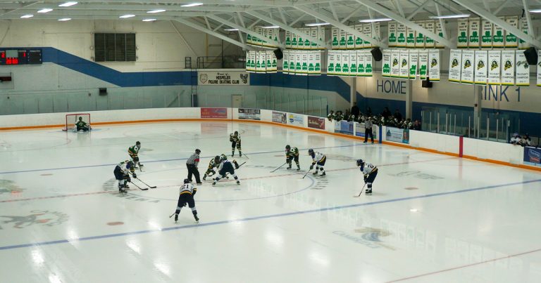 Georgina woman who defrauded minor hockey association of $2.4 million jailed