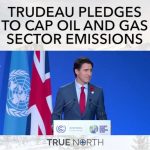 251663326_1611308159200799_2866571732482996545_n